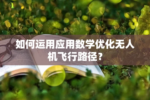 如何运用应用数学优化无人机飞行路径？