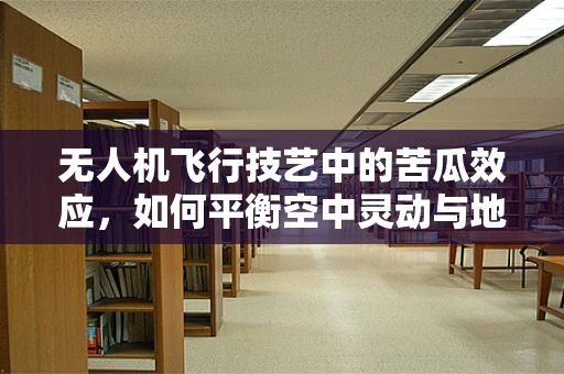 无人机飞行技艺中的苦瓜效应，如何平衡空中灵动与地面稳定？