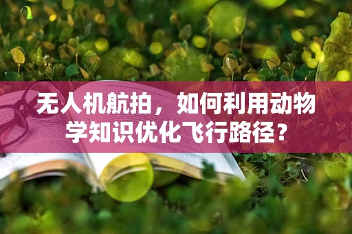 无人机航拍，如何利用动物学知识优化飞行路径？