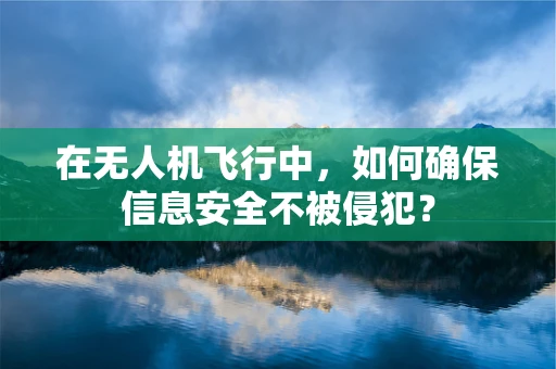 在无人机飞行中，如何确保信息安全不被侵犯？