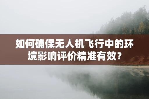 如何确保无人机飞行中的环境影响评价精准有效？