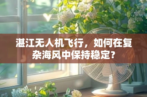 湛江无人机飞行，如何在复杂海风中保持稳定？