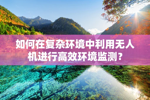 如何在复杂环境中利用无人机进行高效环境监测？